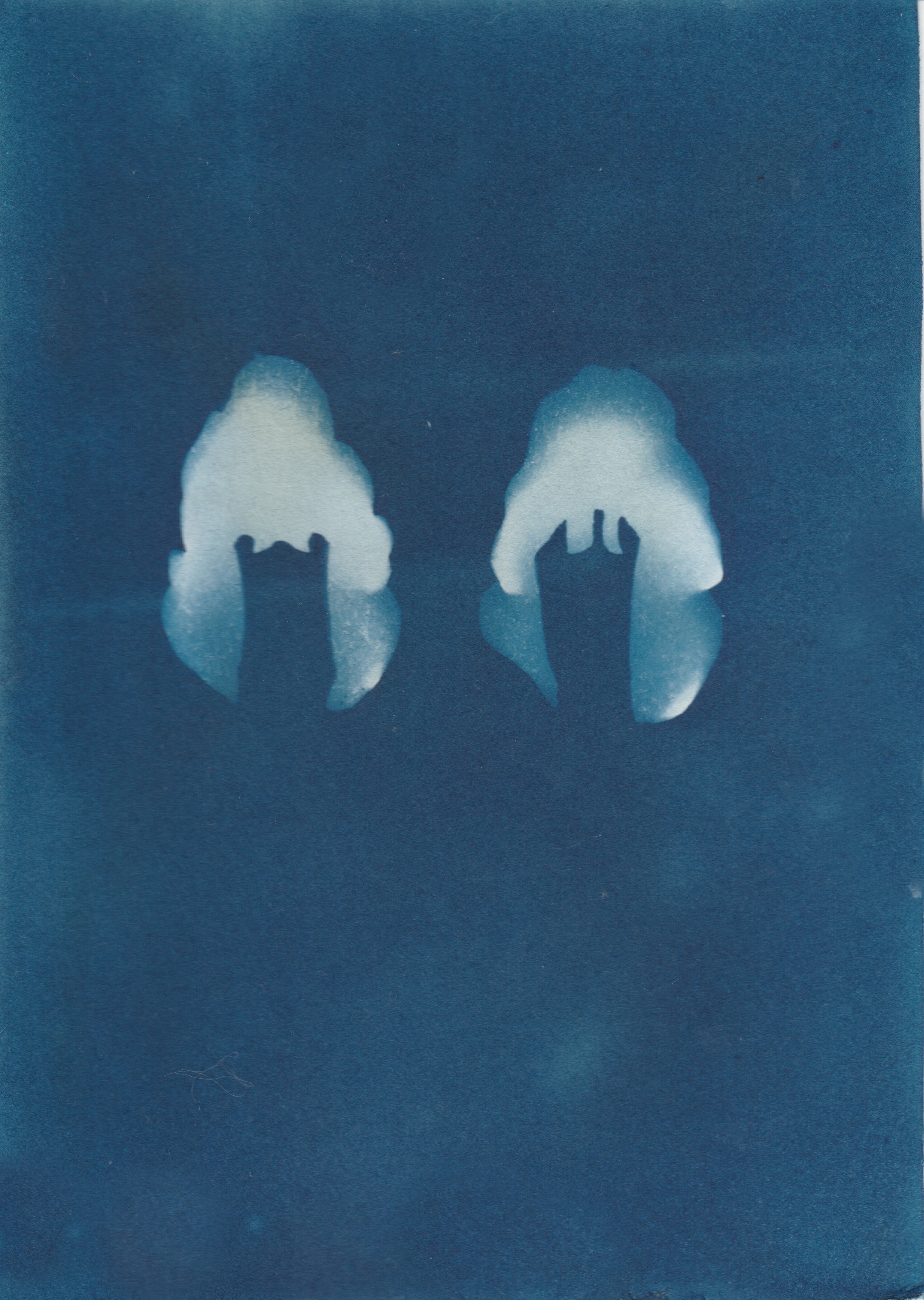 Cyanotype of handcrafted orchid earrings