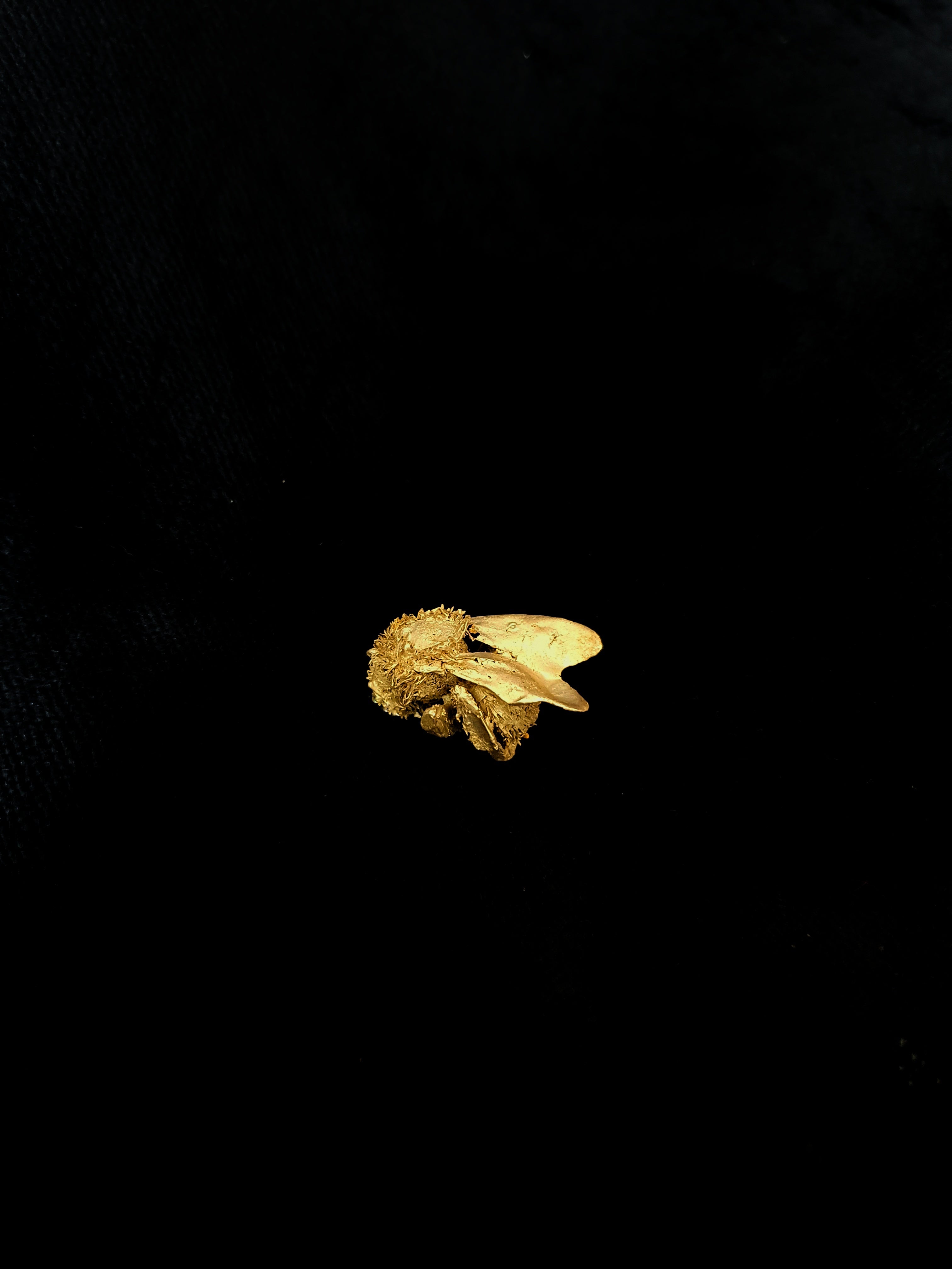 handcrafted Bumblebee brooch on a black background