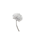 Dent de lion Brooch