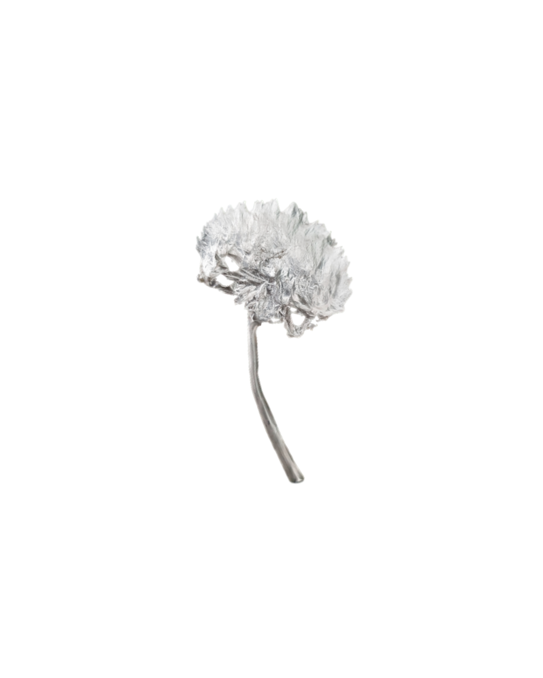 Dent de lion Brooch