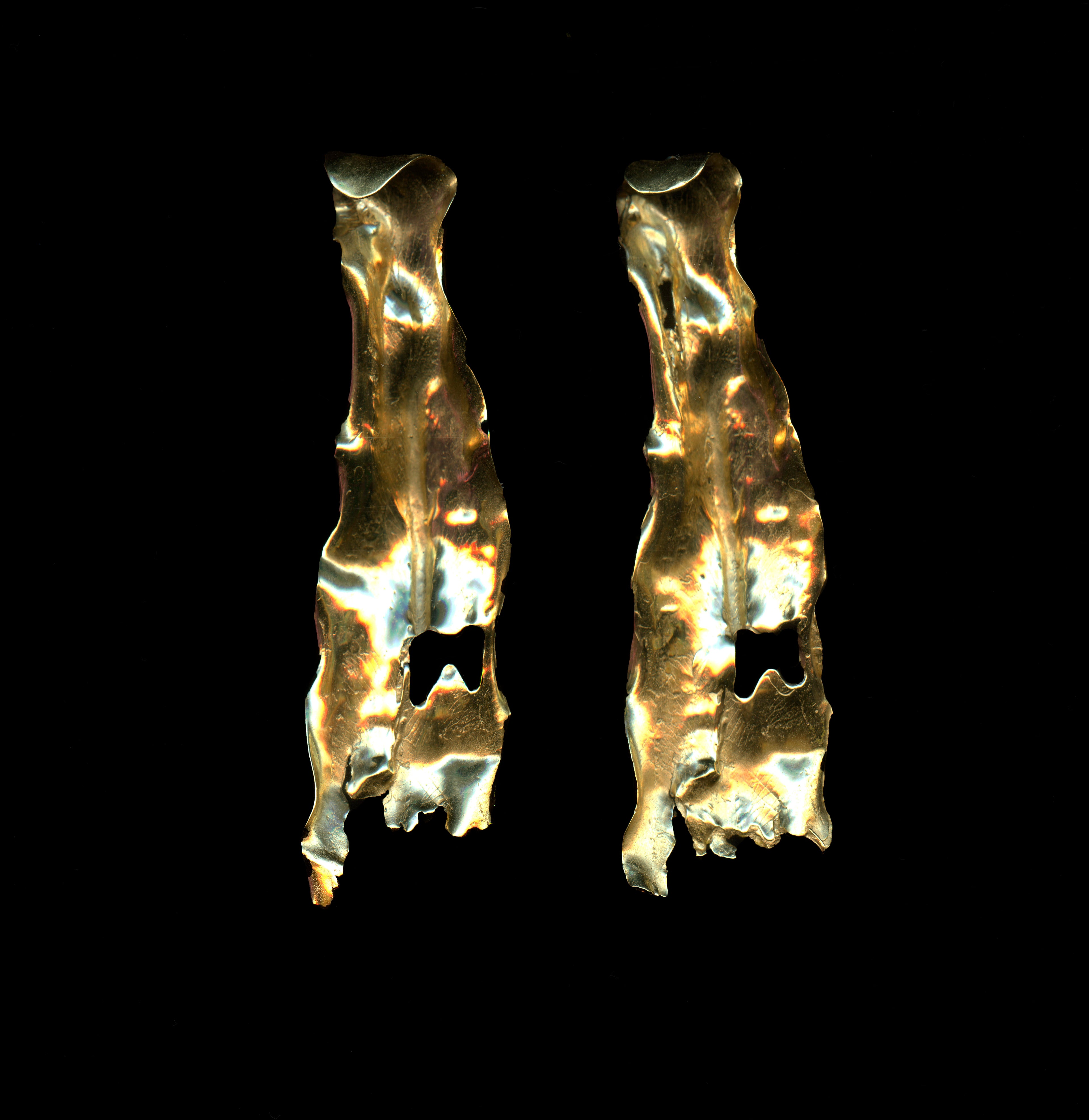 Pair of handcrafted gold earrings on a black background