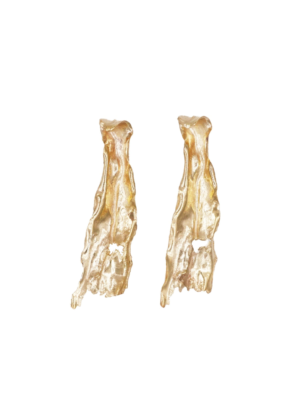 Phlebodium Earrings