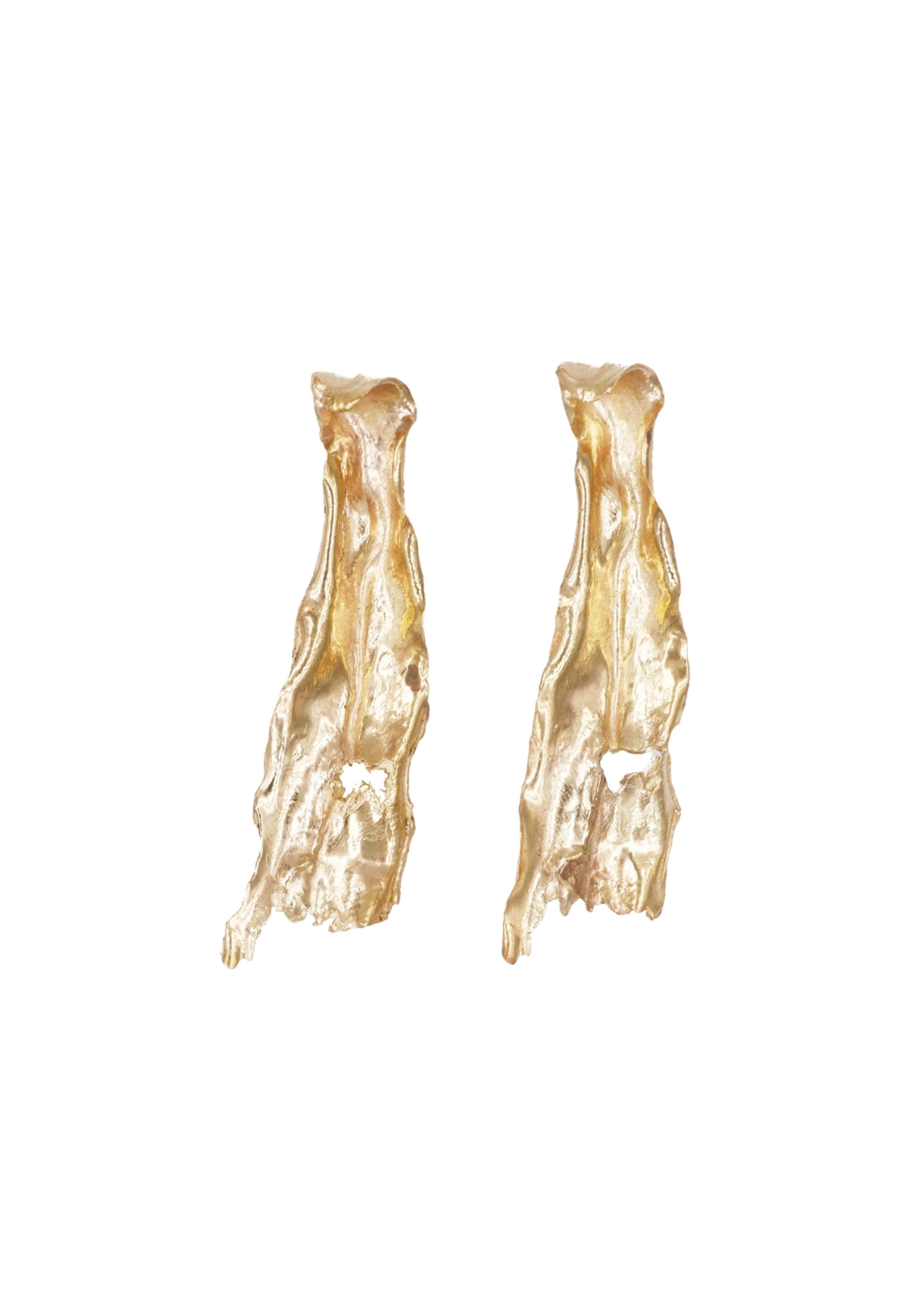 Phlebodium Earrings