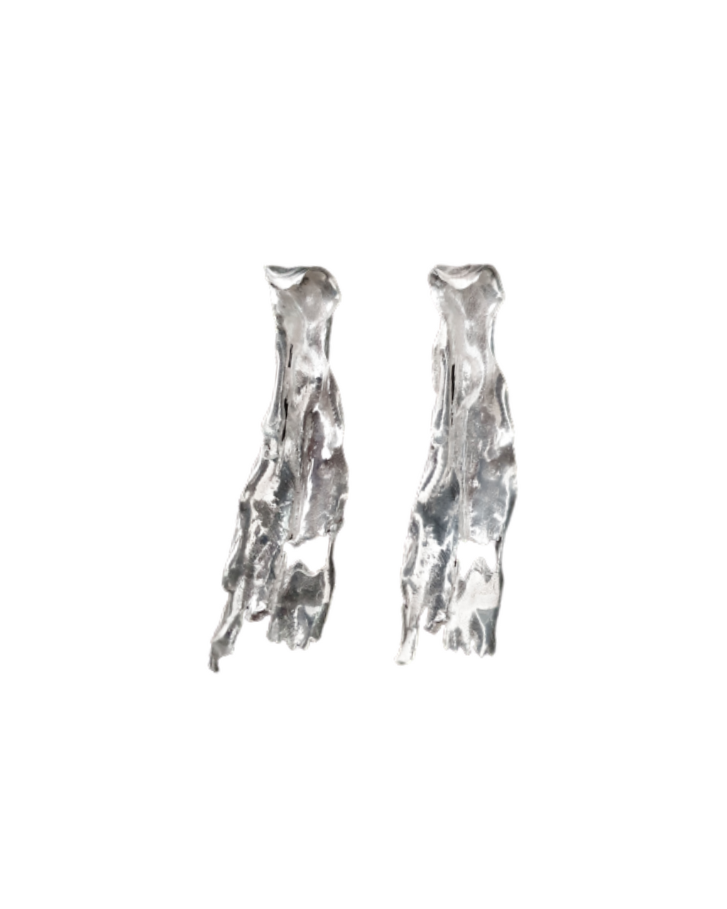 Phlebodium Earrings