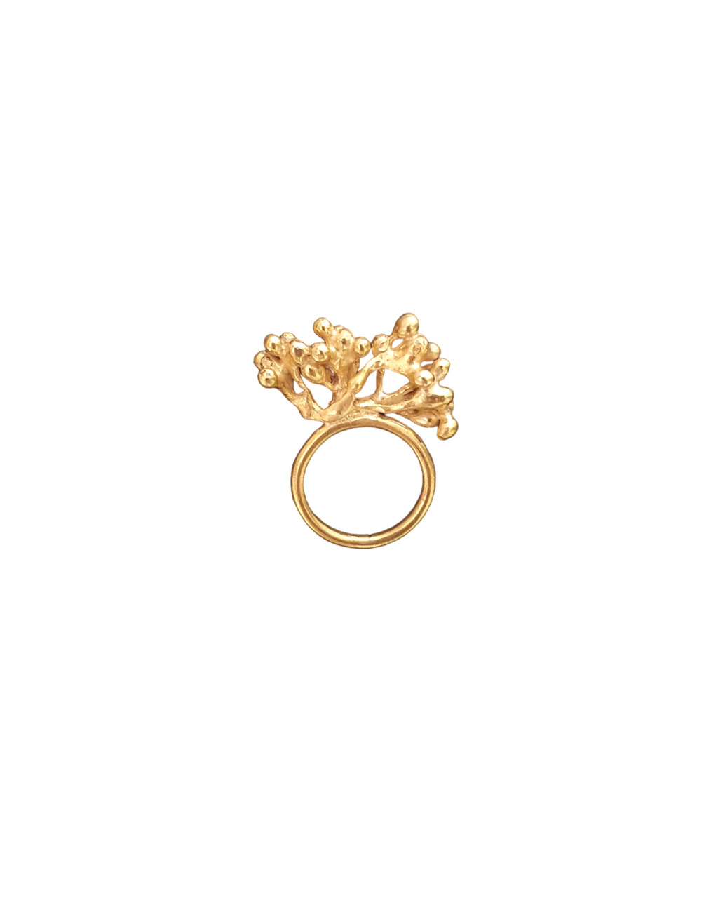Rubella Ring