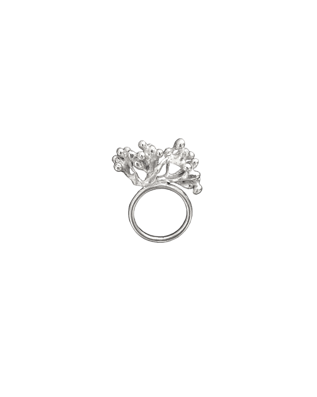 Rubella Ring
