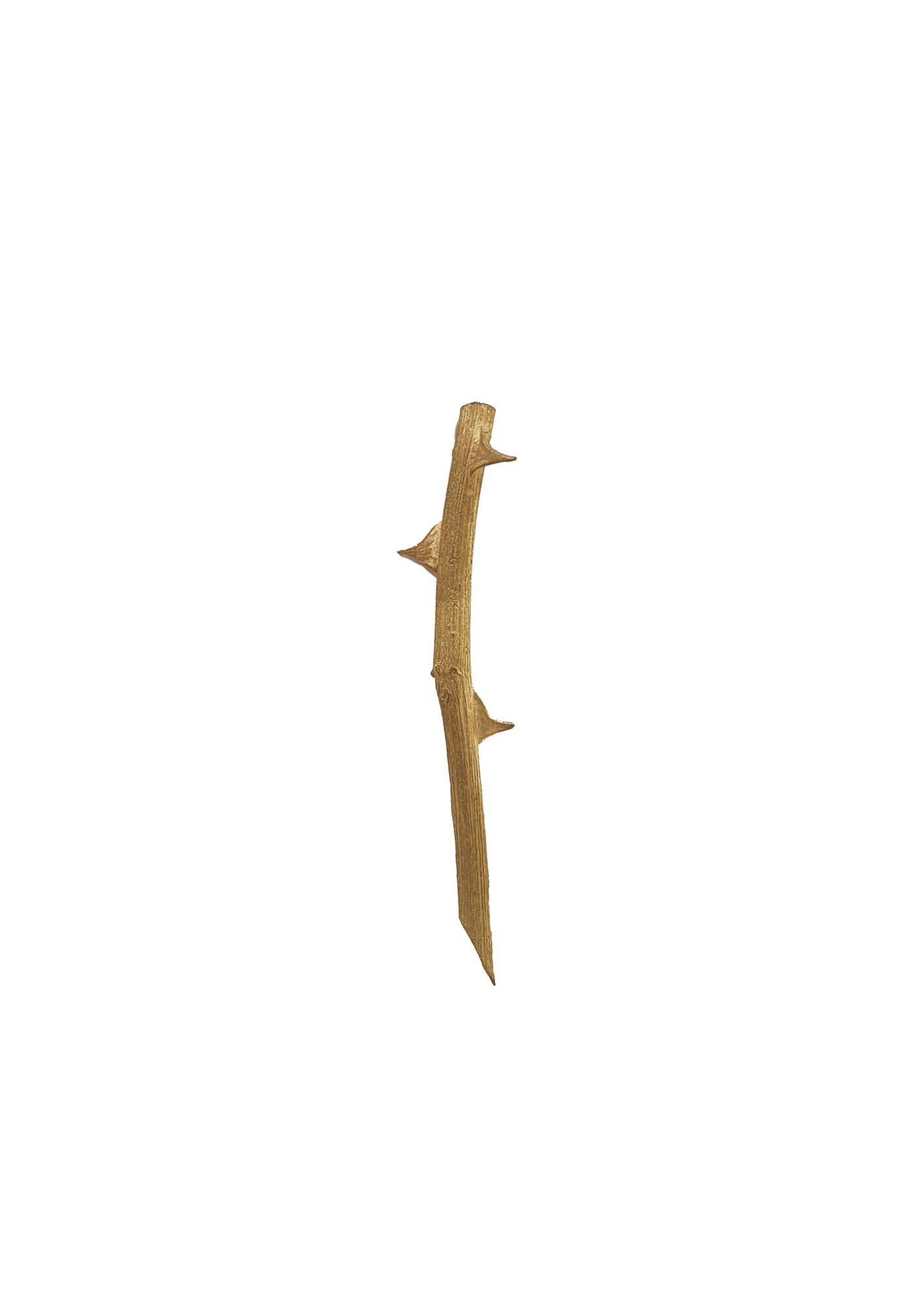 Rosa Brooch