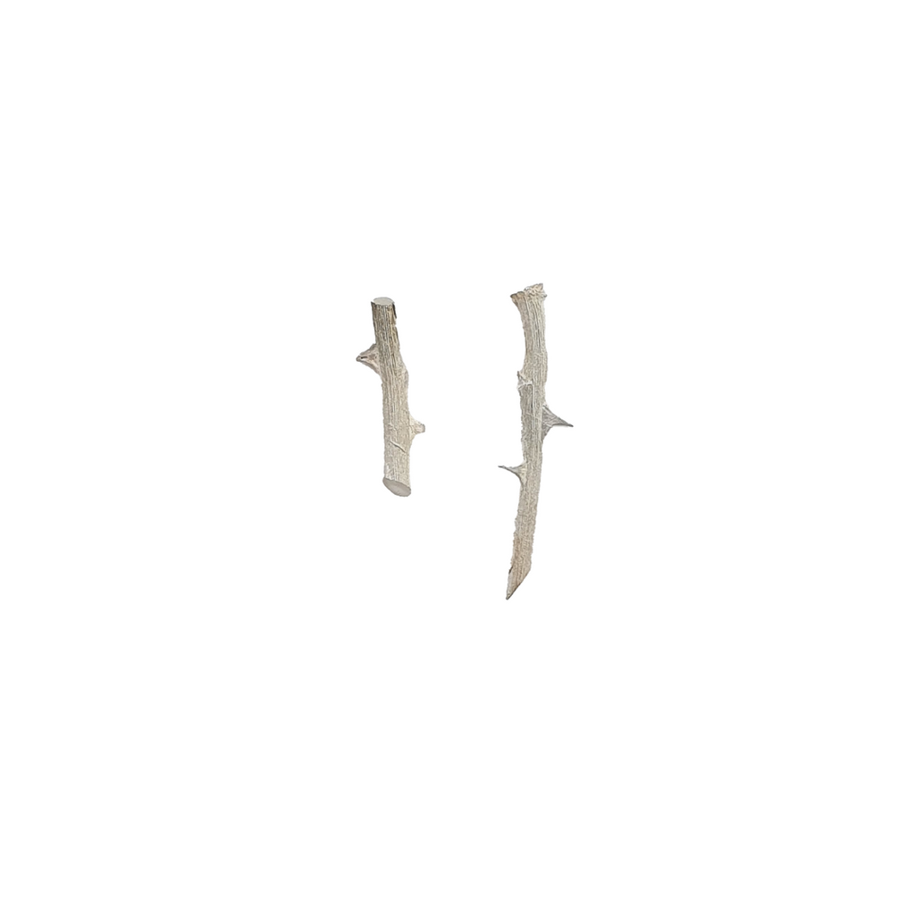 handcrafted Silver thorn earrings on white background
